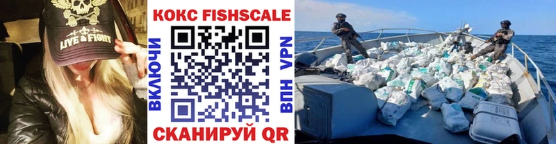 купить наркотики сайты  Нижняя Салда  Cocaine Fish Scale 