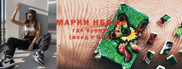 PSILOCYBIN Каменка