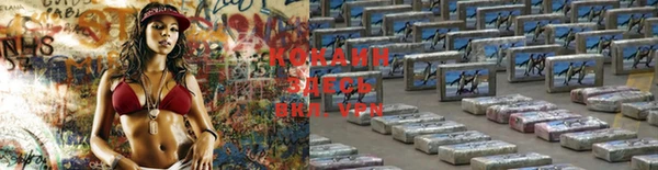 стаф Нея