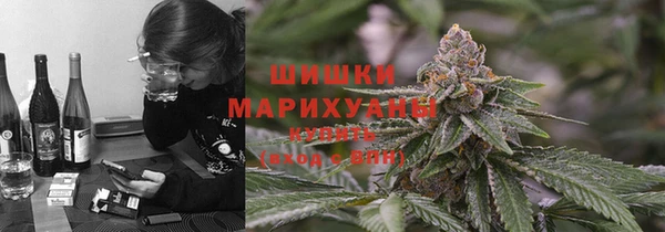 амф Инта