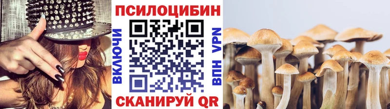 Галлюциногенные грибы ЛСД  продажа наркотиков  Нижняя Салда 